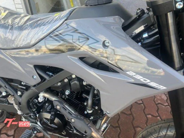 Kawasaki KLX230SM 2025 2025 — миниатюра 2