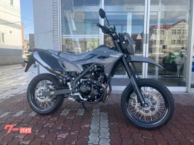 Kawasaki KLX230SM 2025 2025 — фото 1, купить с доставкой в Москву