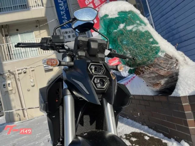 Suzuki GSX-8S 2024 2024 — миниатюра 2