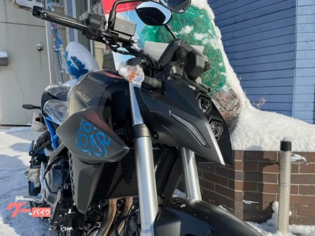 Suzuki GSX-8S 2024 2024 — миниатюра 3