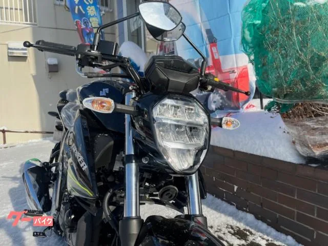 Suzuki GIXXER 150 2023 2023 — миниатюра 3