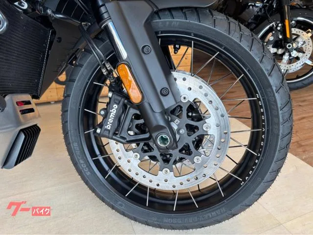 HARLEY-DAVIDSON 1250 2024 — миниатюра 2