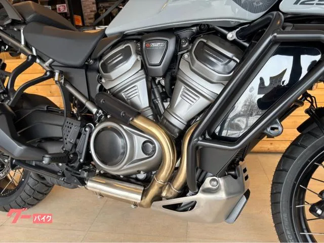 HARLEY-DAVIDSON 1250 2024 — миниатюра 3