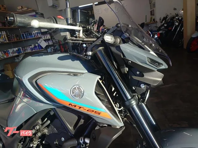 Yamaha MT-25 2022 — миниатюра 4