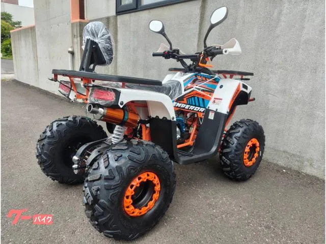 Buggy ATV-MAX 831SL50W-WO-KIT 2025 — миниатюра 5
