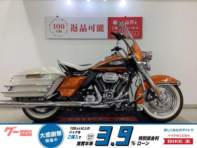 HARLEY-DAVIDSON FLHSB 2023 — фото 1, купить с доставкой в Москву