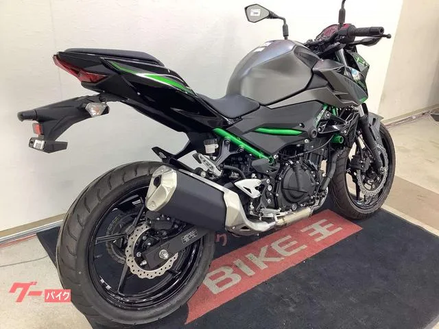 Kawasaki Z250 2024 — миниатюра 2