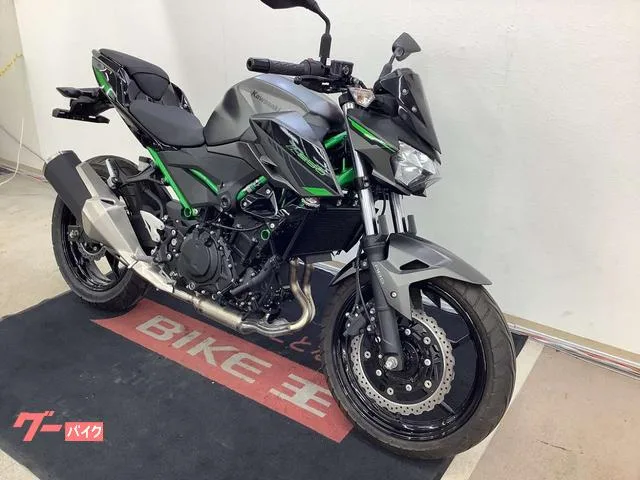 Kawasaki Z250 2024 — миниатюра 4