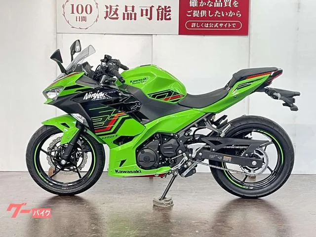Kawasaki Ninja 250 2024 — миниатюра 5
