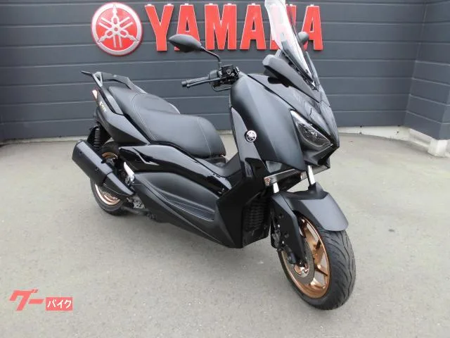 Yamaha X-MAX250 SG70J 2022 2022 — миниатюра 3