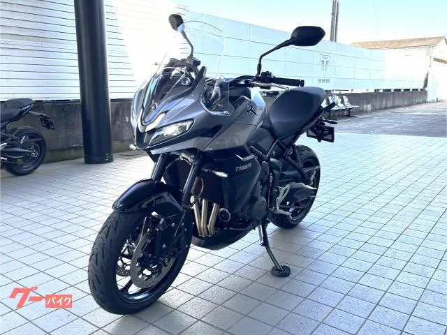 TRIUMPH 800 / 2025 — миниатюра 4