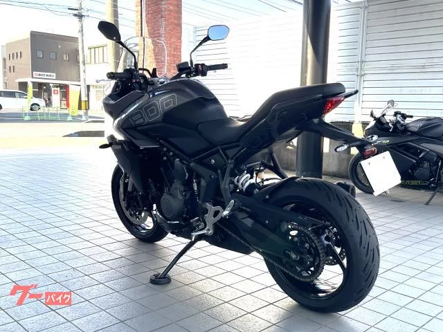 TRIUMPH 800 / 2025 — миниатюра 5