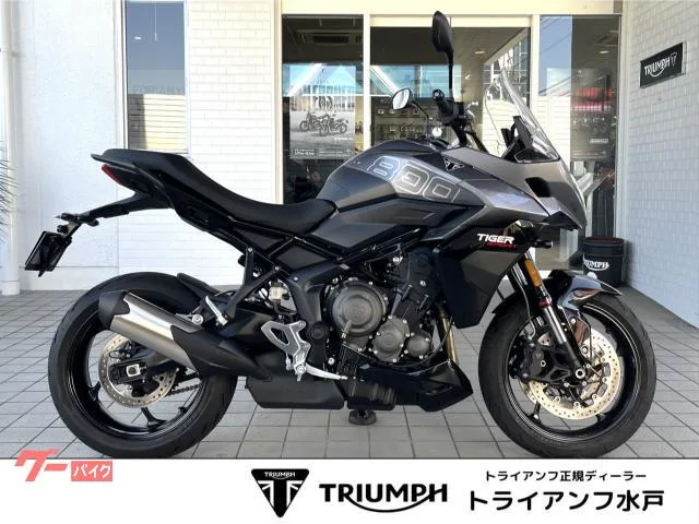 TRIUMPH 800 / 2025 — фото 1, купить с доставкой в Москву