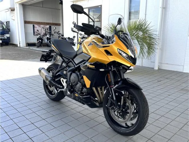 TRIUMPH 800 / 2026 — миниатюра 3