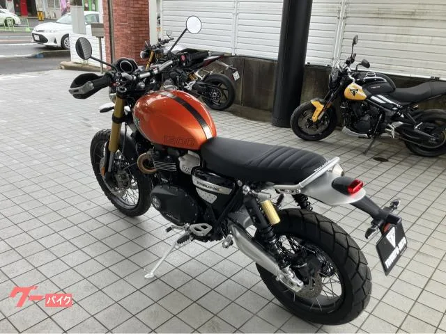 TRIUMPH 1200XE / 2025 — миниатюра 2