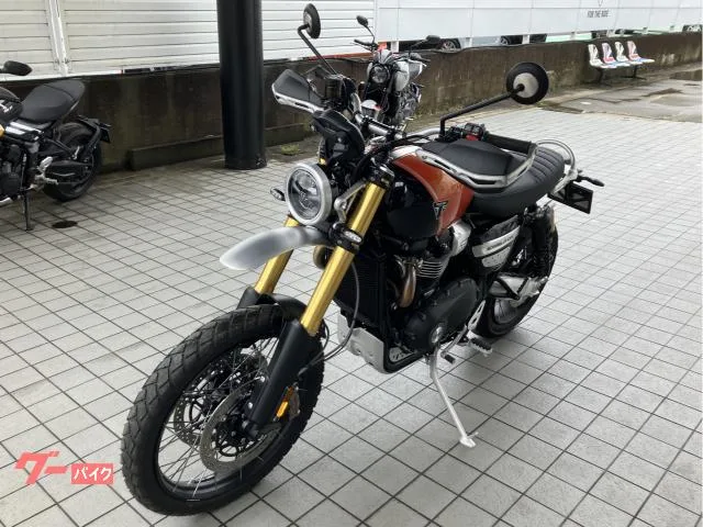 TRIUMPH 1200XE / 2025 — миниатюра 3