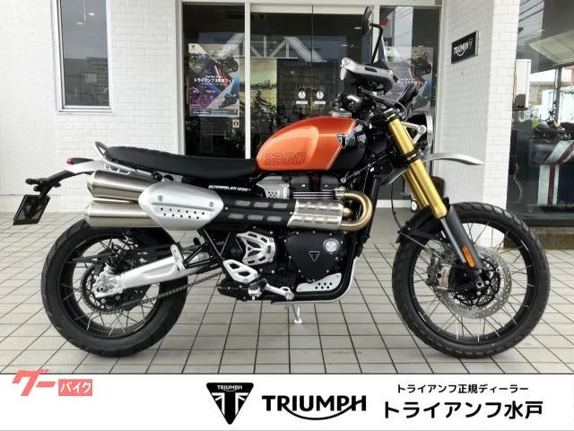 TRIUMPH 1200XE / 2025 — фото 1, купить с доставкой в Москву