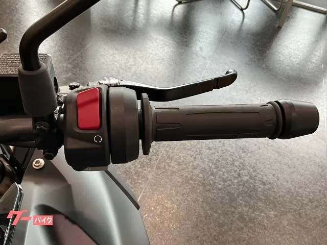 BMW G310GS ETC LED 2025 — миниатюра 2