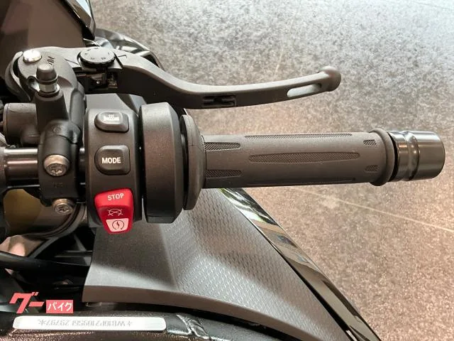 BMW S1000RR ABS 2025 — миниатюра 2
