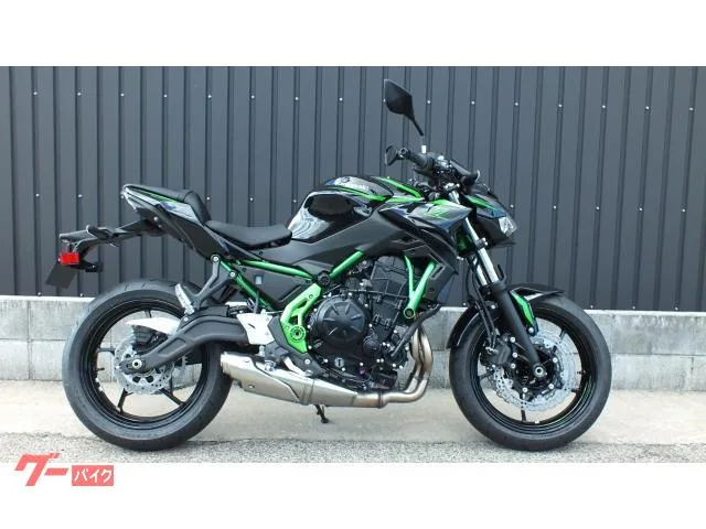 Kawasaki Z650 2025 2025 — фото 1, купить с доставкой в Москву