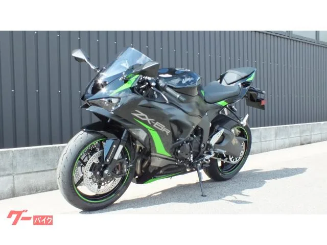 Kawasaki Ninja ZX-6R 2025 2025 — миниатюра 2