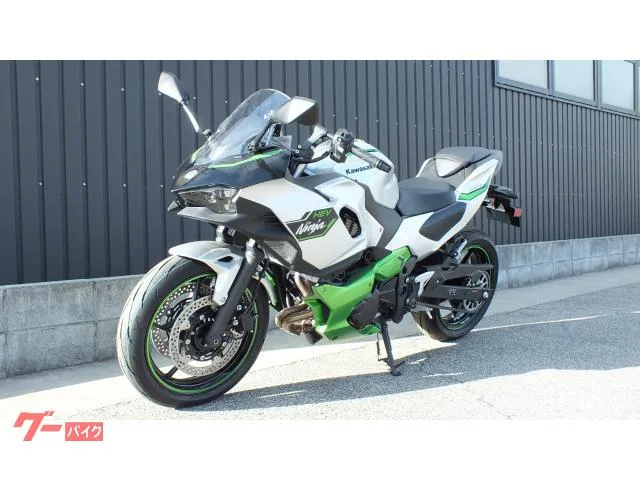 Kawasaki Ninja 7 Hybrid 2024 2025 — миниатюра 2