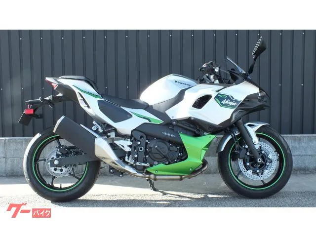 Kawasaki Ninja 7 Hybrid 2024 2025 — фото 1, купить с доставкой в Москву