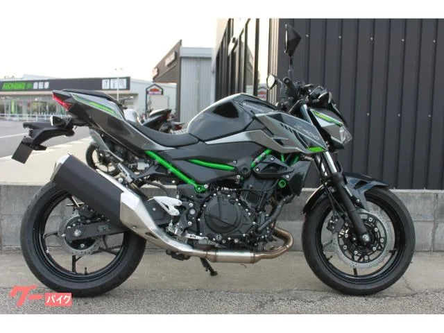 Kawasaki Z400 2025 2025 — фото 1, купить с доставкой в Москву