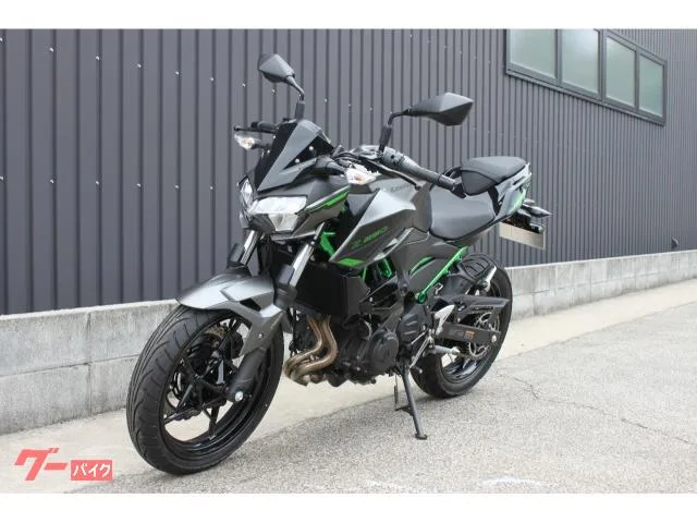 Kawasaki Z250 2024 2024 — миниатюра 2