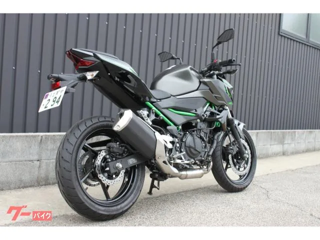 Kawasaki Z250 2024 2024 — миниатюра 3