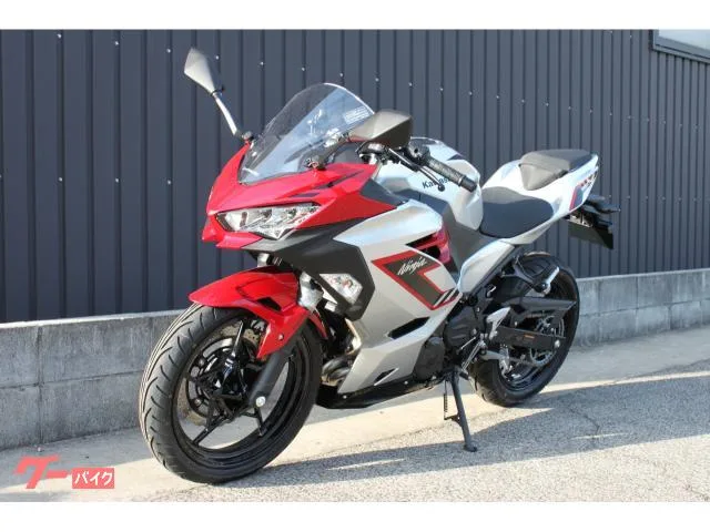 Kawasaki Ninja 250 2026 2026 — миниатюра 2