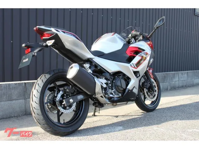Kawasaki Ninja 250 2026 2026 — миниатюра 3
