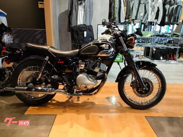 Kawasaki S1 2025 — фото 1, купить с доставкой в Москву