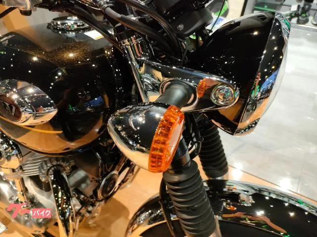 Kawasaki W800 ETC2.0 2025 — миниатюра 2