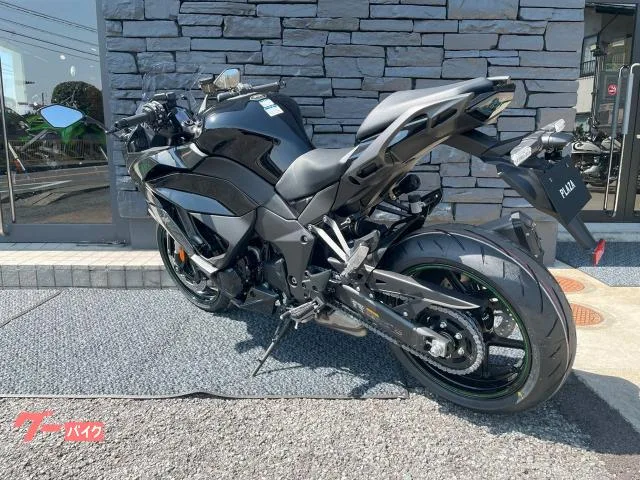 Kawasaki Ninja 1100 SX ETCUSBC 2025 — миниатюра 2