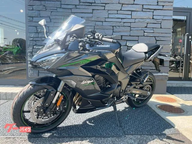 Kawasaki Ninja 1100 SX ETCUSBC 2025 — миниатюра 4