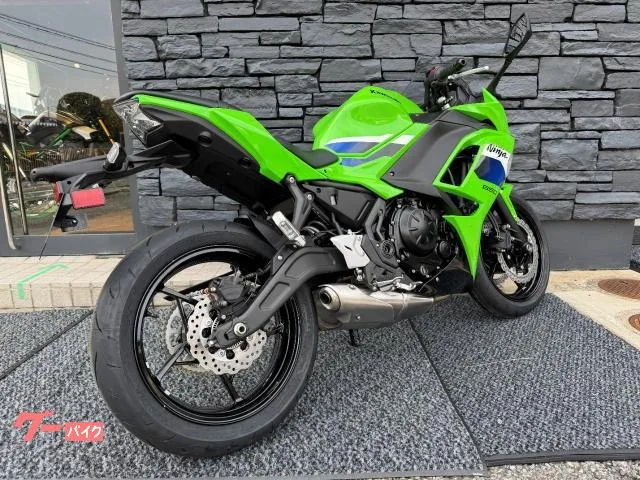 Kawasaki Ninja 650 ETC 2026 — миниатюра 2