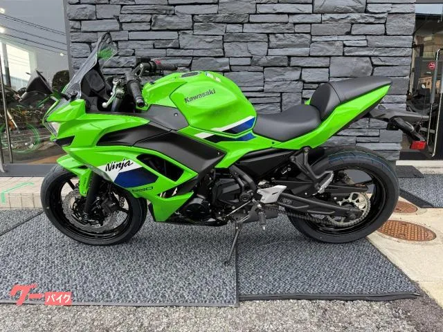 Kawasaki Ninja 650 ETC 2026 — миниатюра 3