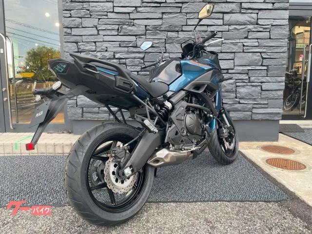 Kawasaki Versys 650 ETC 2026 — миниатюра 2