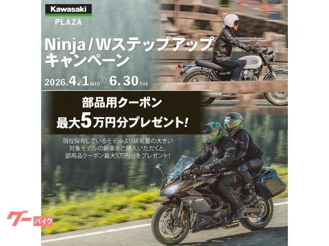 Kawasaki Ninja 1000 SX ETC2.0 2024 — миниатюра 3