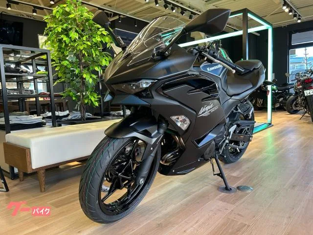 Kawasaki Ninja 500 2026 — миниатюра 2