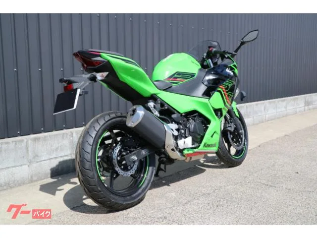 Kawasaki Ninja 250 2023 — миниатюра 3