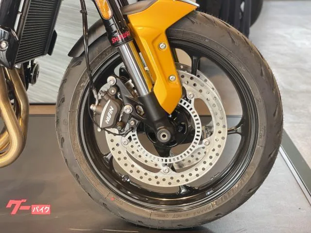 TRIUMPH 660 2024 — миниатюра 2