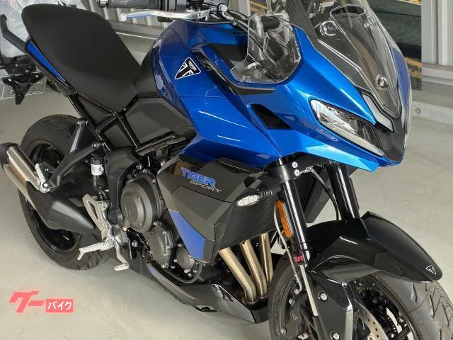TRIUMPH 800 LED 2025 — миниатюра 2