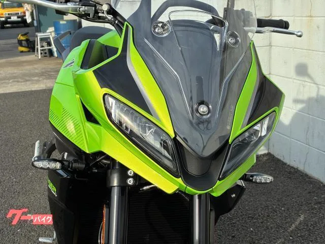 TRIUMPH 660 2025 — миниатюра 4