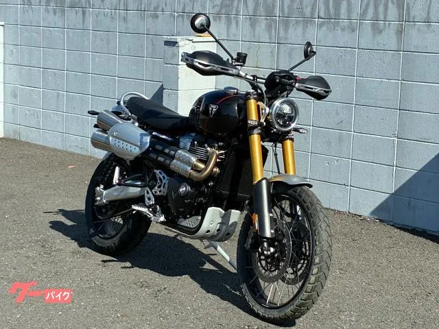 TRIUMPH 1200XE 2024 — миниатюра 3
