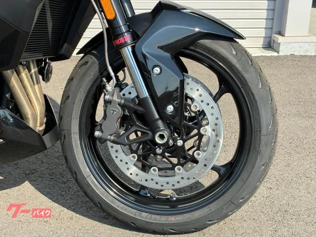 TRIUMPH 800 2025 — миниатюра 2