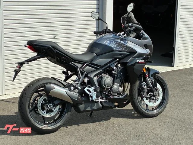 TRIUMPH 800 2025 — миниатюра 3
