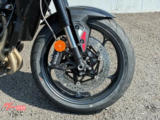 TRIUMPH 765R 2025 — миниатюра 2