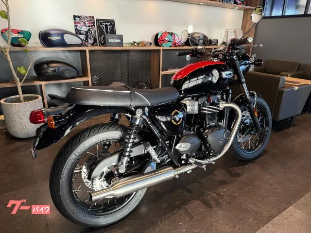 TRIUMPH T100 2026 / LED 2026 — миниатюра 3